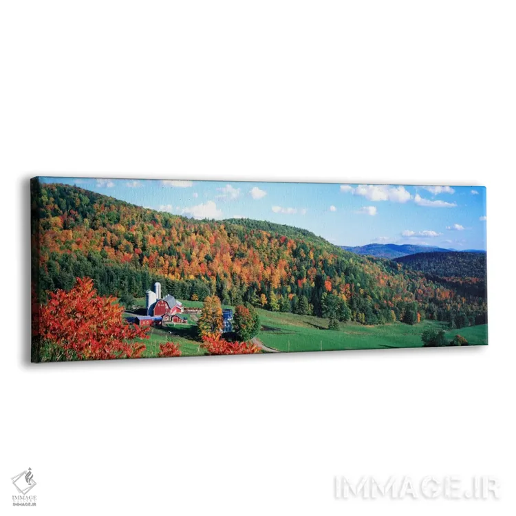 تابلو Hillside Acres Farm, Barnet, Vermont, USA,منظره پاییزی روستا، مزرعه هیلساید اکرز، barnet، ورمونت، آمریکا اثر پانورامیک ایمجز (استودیو عکاسی عریض) - نمای پرسپکتیو محصول
