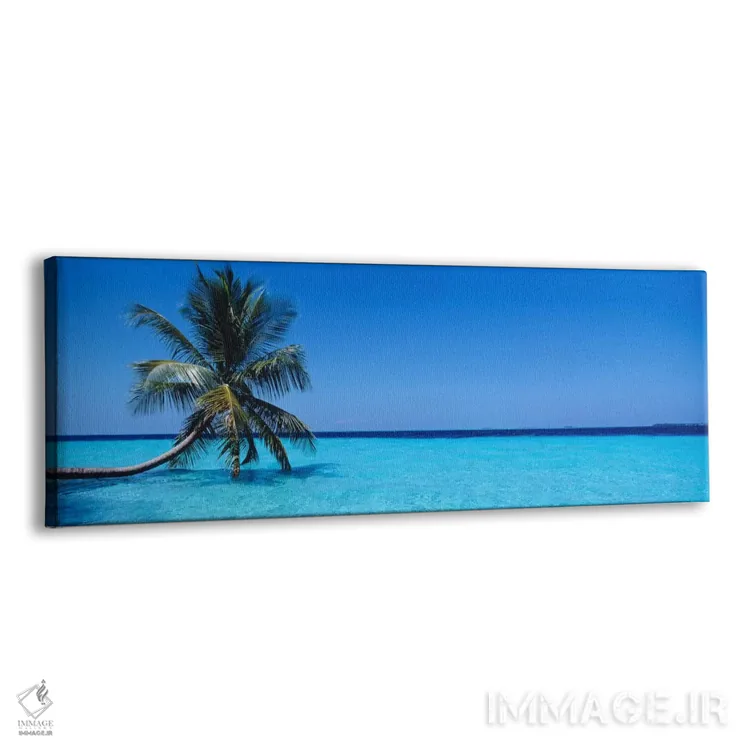 تابلو Republic Of Maldives,منظره دریای گرمسیری با یک نخل تنها، جمهوری مالدیو اثر پانورامیک ایمجز (استودیو عکاسی عریض) - نمای پرسپکتیو محصول