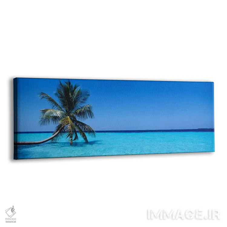 تابلو Republic Of Maldives,منظره دریای گرمسیری با یک نخل تنها، جمهوری مالدیو اثر پانورامیک ایمجز (استودیو عکاسی عریض) - نمای پرسپکتیو محصول