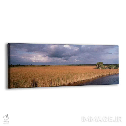 تابلو Big Cypress National Preserve along Tamiami Trail Everglades National Park,ایالات متحده، فلوریدا، ذخیرهگاه ملی بیگ سایپرس در امتداد مسیر تامیامی، پارک ملی اورگلیدز اثر پانورامیک ایمجز (استودیو عکاسی عریض) - نمای پرسپکتیو محصول