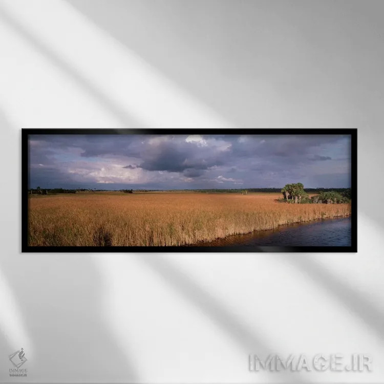 تابلو Big Cypress National Preserve along Tamiami Trail Everglades National Park,ایالات متحده، فلوریدا، ذخیرهگاه ملی بیگ سایپرس در امتداد مسیر تامیامی، پارک ملی اورگلیدز اثر پانورامیک ایمجز (استودیو عکاسی عریض) - نمای قابدار مشکی