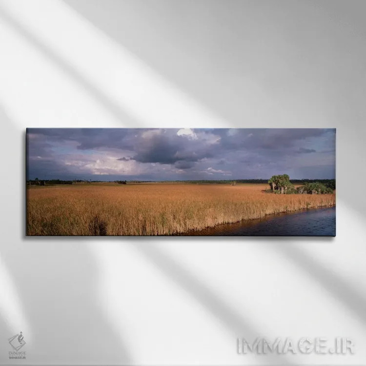 تابلو Big Cypress National Preserve along Tamiami Trail Everglades National Park,ایالات متحده، فلوریدا، ذخیرهگاه ملی بیگ سایپرس در امتداد مسیر تامیامی، پارک ملی اورگلیدز اثر پانورامیک ایمجز (استودیو عکاسی عریض) - نمای روبهرو روی دیوار