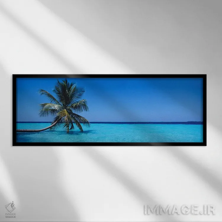 تابلو Republic Of Maldives,منظره دریای گرمسیری با یک نخل تنها، جمهوری مالدیو اثر پانورامیک ایمجز (استودیو عکاسی عریض) - نمای قابدار مشکی