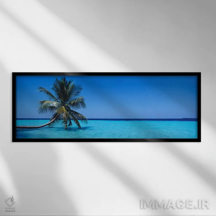 تابلو Republic Of Maldives,منظره دریای گرمسیری با یک نخل تنها، جمهوری مالدیو اثر پانورامیک ایمجز (استودیو عکاسی عریض) - نمای قابدار مشکی