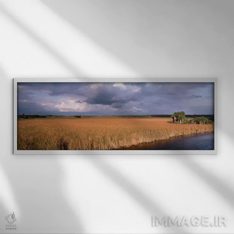 تابلو Big Cypress National Preserve along Tamiami Trail Everglades National Park,ایالات متحده، فلوریدا، ذخیرهگاه ملی بیگ سایپرس در امتداد مسیر تامیامی، پارک ملی اورگلیدز اثر پانورامیک ایمجز (استودیو عکاسی عریض) - نمای قابدار سفید