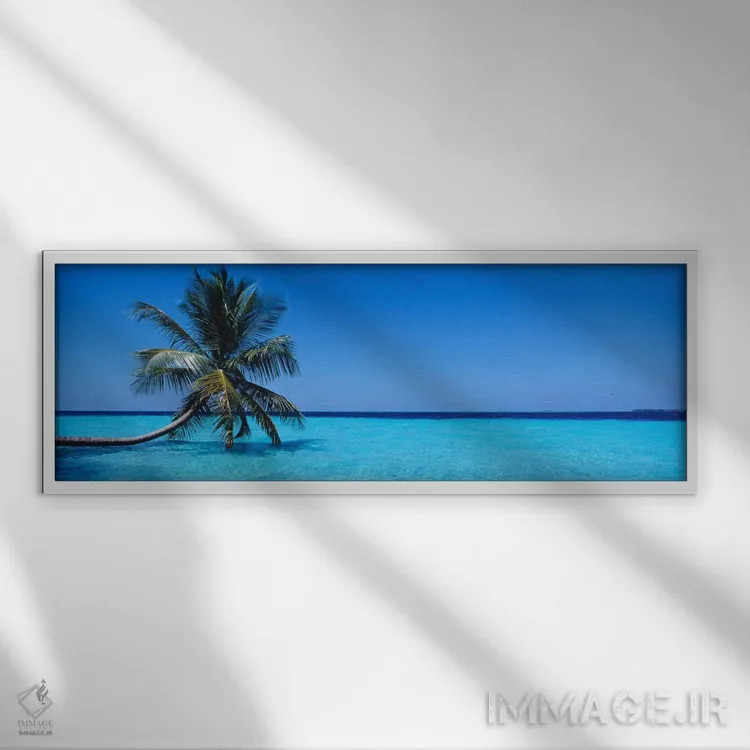 تابلو Republic Of Maldives,منظره دریای گرمسیری با یک نخل تنها، جمهوری مالدیو اثر پانورامیک ایمجز (استودیو عکاسی عریض) - نمای قابدار سفید
