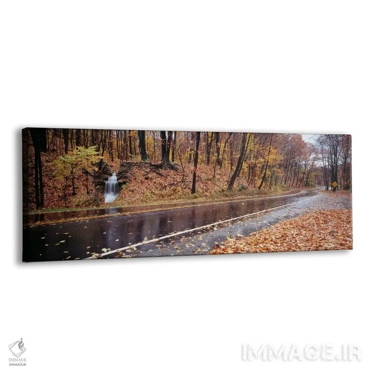 تابلو Euclid Creek Reservation, Euclid, Ohio, USA,آبشار کنار جاده، منطقه حفاظتشده یوکلید کریک، یوکلید، اوهایو، آمریکا اثر پانورامیک ایمجز (استودیو عکاسی عریض) - نمای پرسپکتیو محصول