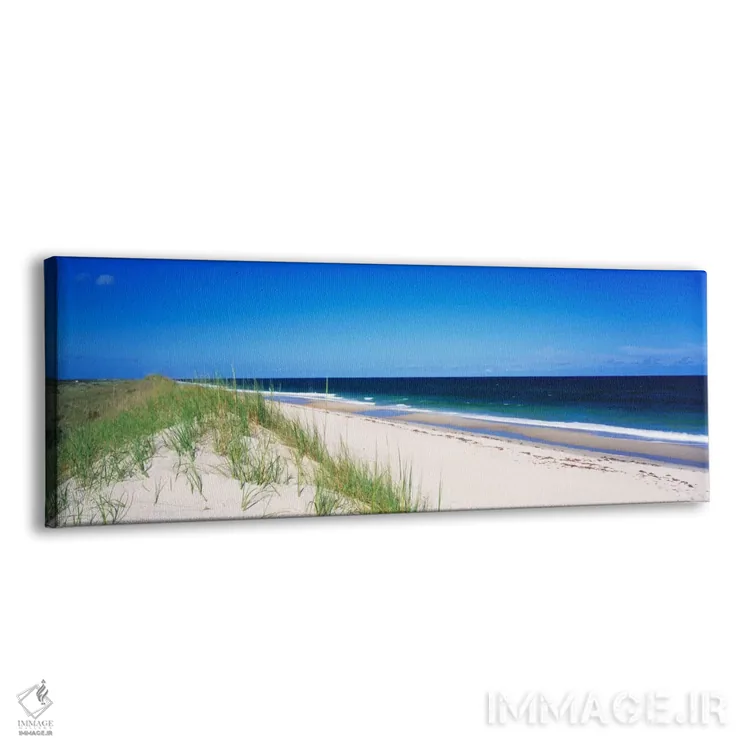 تابلو Cape Hatteras National Seashore, Outer Banks, North Carolina USA,چشمانداز ساحلی، ساحل ملی کیپ هاتراس، اوتر بنکس، کارولینای شمالی، ایالات متحده آمریکا اثر پانورامیک ایمجز (استودیو عکاسی عریض) - نمای پرسپکتیو محصول