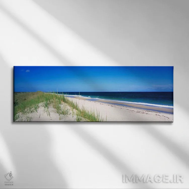 تابلو Cape Hatteras National Seashore, Outer Banks, North Carolina USA,چشمانداز ساحلی، ساحل ملی کیپ هاتراس، اوتر بنکس، کارولینای شمالی، ایالات متحده آمریکا اثر پانورامیک ایمجز (استودیو عکاسی عریض) - نمای روبهرو روی دیوار
