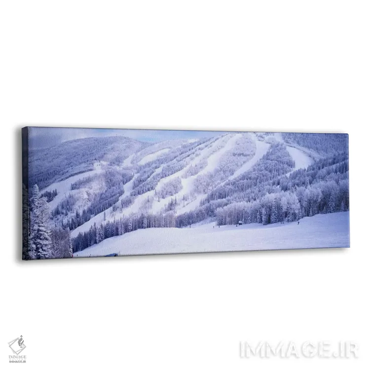 تابلو Steamboat Springs, Colorado, USA,دامنههای اسکی پوشیده از برف، استیم بوت اسپرینگز، کلرادو، آمریکا اثر پانورامیک ایمجز (استودیو عکاسی عریض) - نمای پرسپکتیو محصول