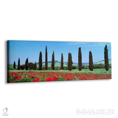 تابلو Tuscany, Italy,منظره روستایی، توسکانی، ایتالیا اثر پانورامیک ایمجز (استودیو عکاسی عریض) - نمای پرسپکتیو محصول