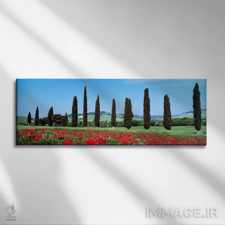 تابلو Tuscany, Italy,منظره روستایی، توسکانی، ایتالیا اثر پانورامیک ایمجز (استودیو عکاسی عریض) - نمای روبهرو روی دیوار