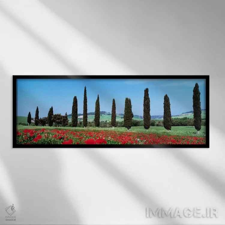 تابلو Tuscany, Italy,منظره روستایی، توسکانی، ایتالیا اثر پانورامیک ایمجز (استودیو عکاسی عریض) - نمای قابدار مشکی