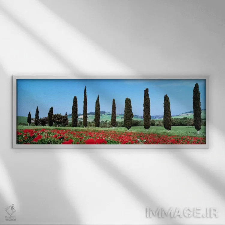 تابلو Tuscany, Italy,منظره روستایی، توسکانی، ایتالیا اثر پانورامیک ایمجز (استودیو عکاسی عریض) - نمای قابدار سفید
