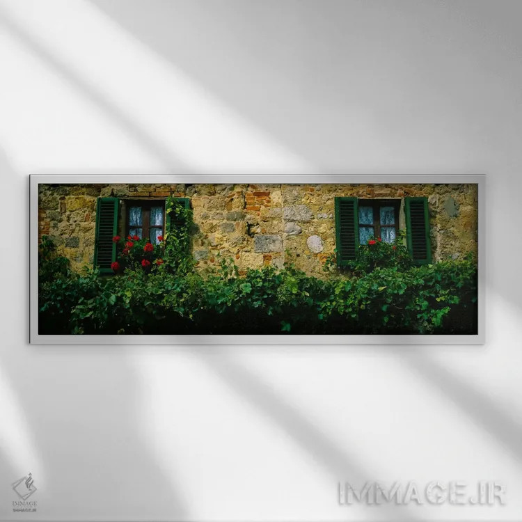 تابلو Monteriggioni, Siena, Tuscany, Italy,گلها و تاکها در امتداد دیوار ساختمانی، مونتریجیونی، سیهنا، توسکانی، ایتالیا اثر پانورامیک ایمجز (استودیو عکاسی عریض) - نمای قابدار سفید