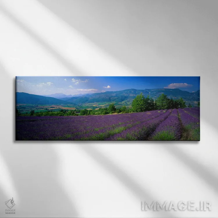 تابلو Drome, Auvergne,Rhone-Alpes, France,مزرعه اسطوخودوس، دروم، اوورنی-رون-آلپ، فرانسه اثر پانورامیک ایمجز (استودیو عکاسی عریض) - نمای روبهرو روی دیوار
