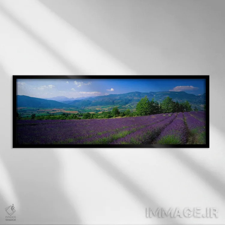 تابلو Drome, Auvergne,Rhone-Alpes, France,مزرعه اسطوخودوس، دروم، اوورنی-رون-آلپ، فرانسه اثر پانورامیک ایمجز (استودیو عکاسی عریض) - نمای قابدار مشکی