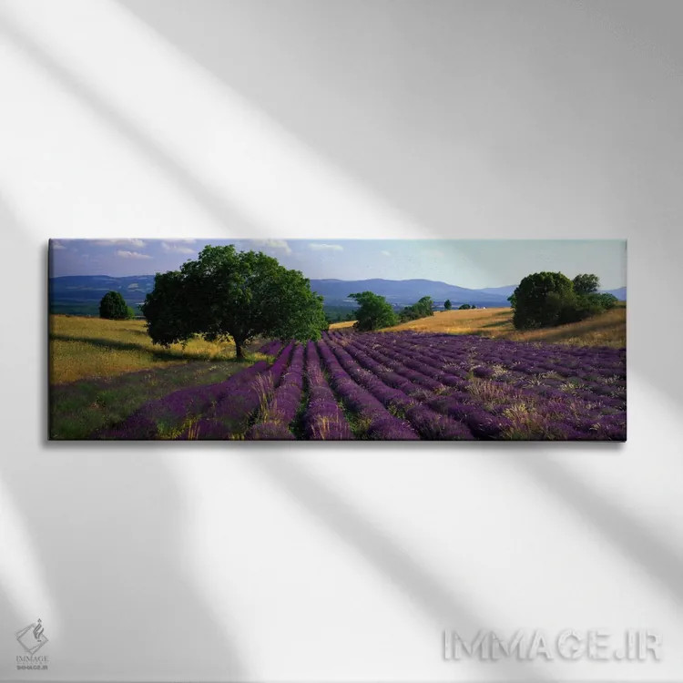 تابلو Drome, Auvergne-Rhone-Alpes, France,منظره روستایی، دروم، اوورنی-رون-آلپ، فرانسه اثر پانورامیک ایمجز (استودیو عکاسی عریض) - نمای روبهرو روی دیوار