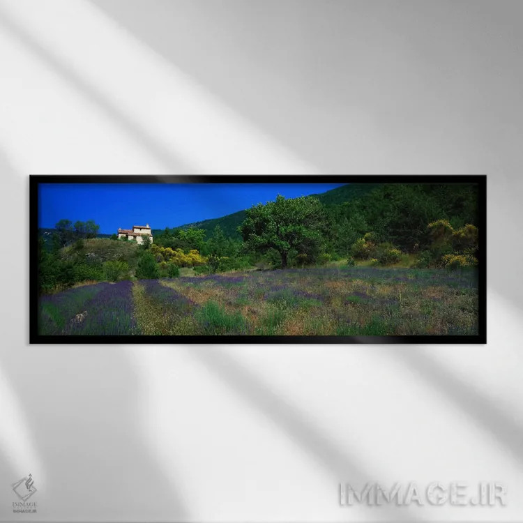 تابلو مزرعه اسطوخودوس، لا دروم، پروانس، فرانسه اثر پانورامیک ایمجز (استودیو عکاسی عریض) - نمای قابدار مشکی