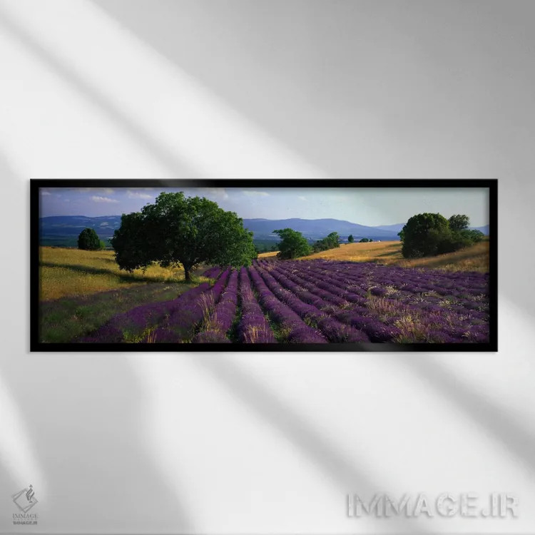 تابلو Drome, Auvergne-Rhone-Alpes, France,منظره روستایی، دروم، اوورنی-رون-آلپ، فرانسه اثر پانورامیک ایمجز (استودیو عکاسی عریض) - نمای قابدار مشکی