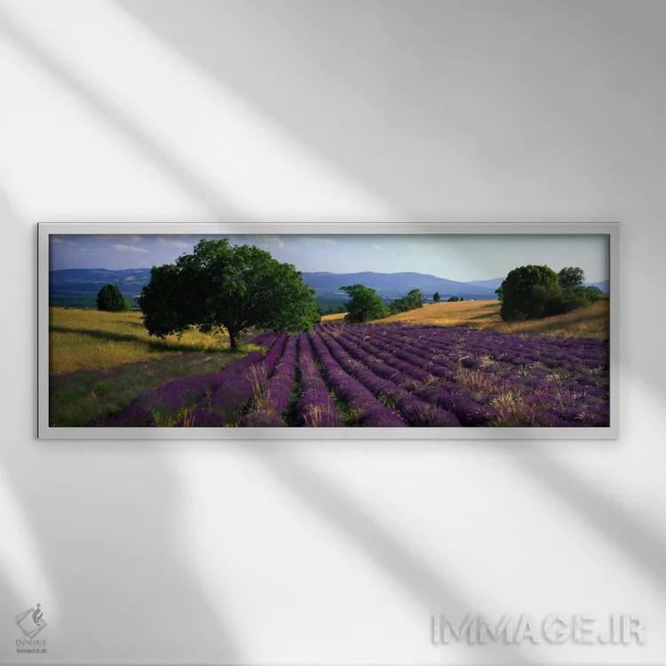 تابلو Drome, Auvergne-Rhone-Alpes, France,منظره روستایی، دروم، اوورنی-رون-آلپ، فرانسه اثر پانورامیک ایمجز (استودیو عکاسی عریض) - نمای قابدار سفید