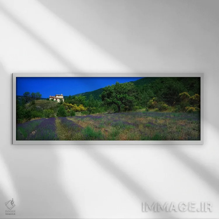 تابلو مزرعه اسطوخودوس، لا دروم، پروانس، فرانسه اثر پانورامیک ایمجز (استودیو عکاسی عریض) - نمای قابدار سفید