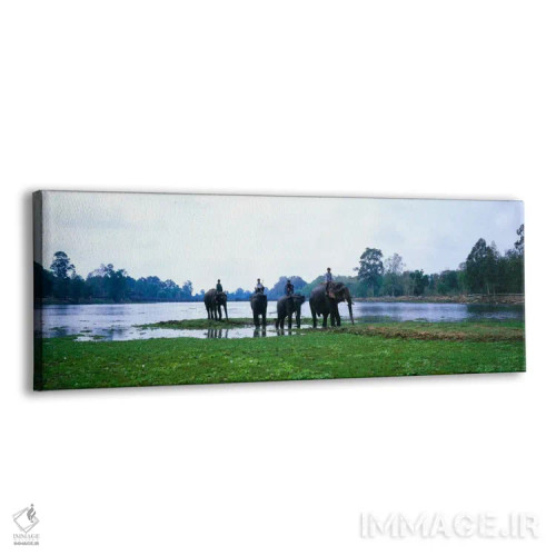 تابلو رود سیم ریپ و فیلها، انگکور وات، کامبوج اثر پانورامیک ایمجز (استودیو عکاسی عریض) - نمای پرسپکتیو محصول