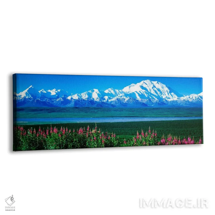 تابلو کوهها و دریاچه، پارک ملی دنالی، آلاسکا، آمریکا اثر پانورامیک ایمجز (استودیو عکاسی عریض) - نمای پرسپکتیو محصول