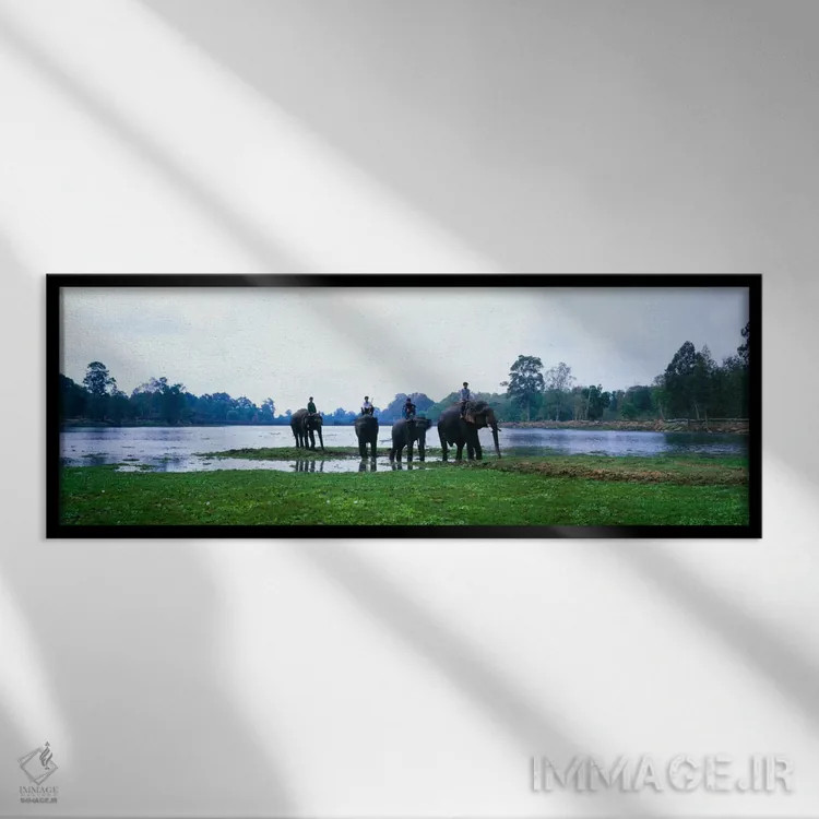 تابلو رود سیم ریپ و فیلها، انگکور وات، کامبوج اثر پانورامیک ایمجز (استودیو عکاسی عریض) - نمای قابدار مشکی