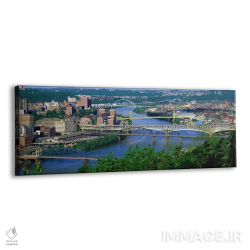 تابلو رودخانه موننگاهیلا، پیتسبرگ، پنسیلوانیا، ایالات متحده آمریکا اثر پانورامیک ایمجز (استودیو عکاسی عریض) - نمای پرسپکتیو محصول
