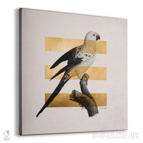 تابلو استوایی طلایی دو اثر دانیلو د آلکساندریا - نمای پرسپکتیو محصول