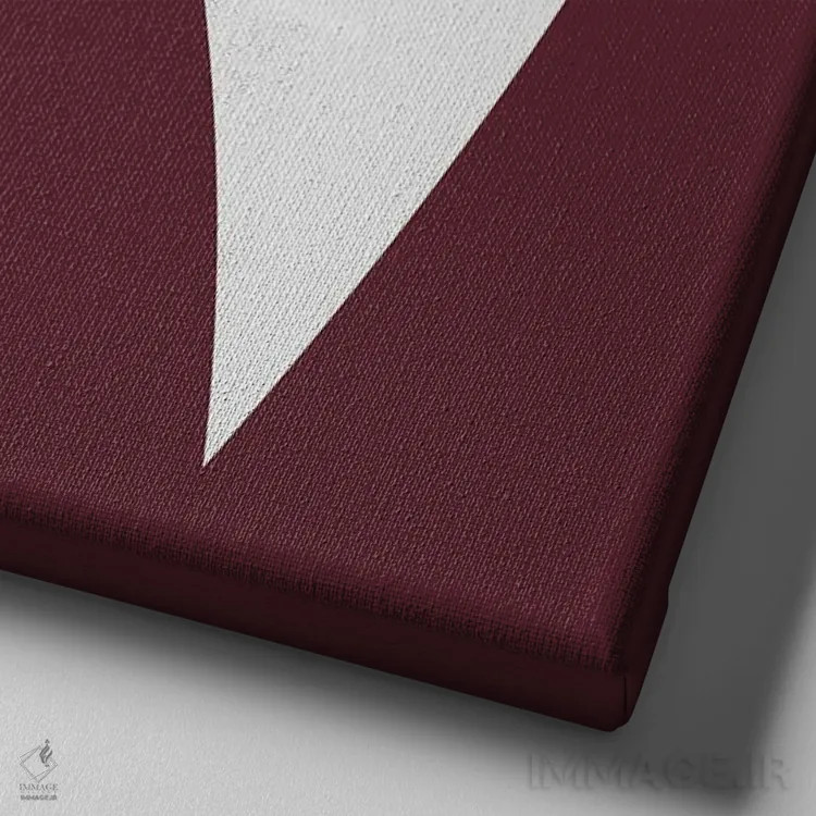 تابلو پرنده مینیمال سه اثر دانیلو د آلکساندریا - نمای نزدیک بافت بوم