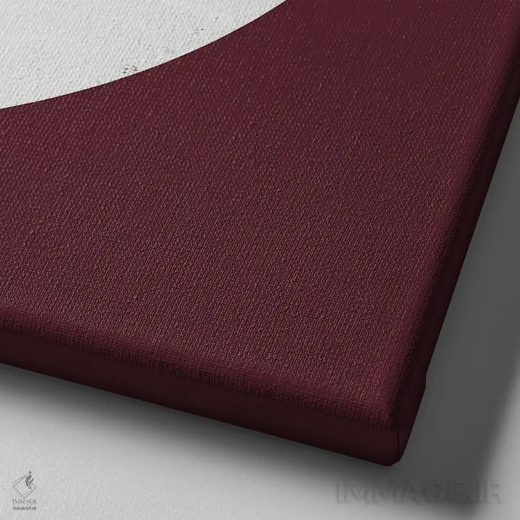 تابلو پرنده مینیمال دو اثر دانیلو د آلکساندریا - نمای نزدیک بافت بوم