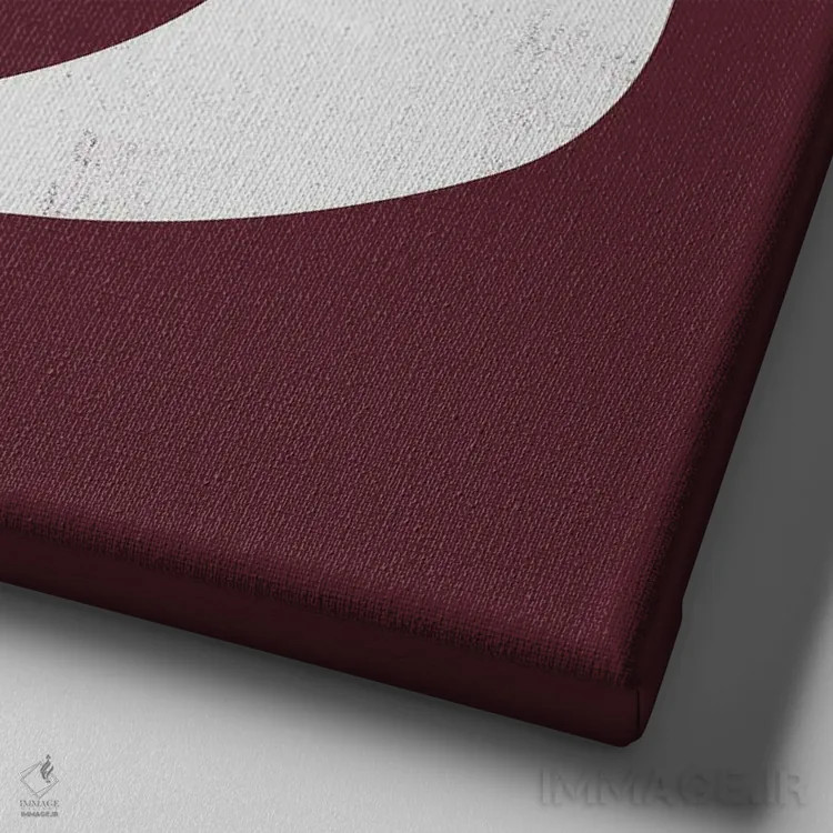 تابلو پرنده مینیمال یک اثر دانیلو د آلکساندریا - نمای نزدیک بافت بوم