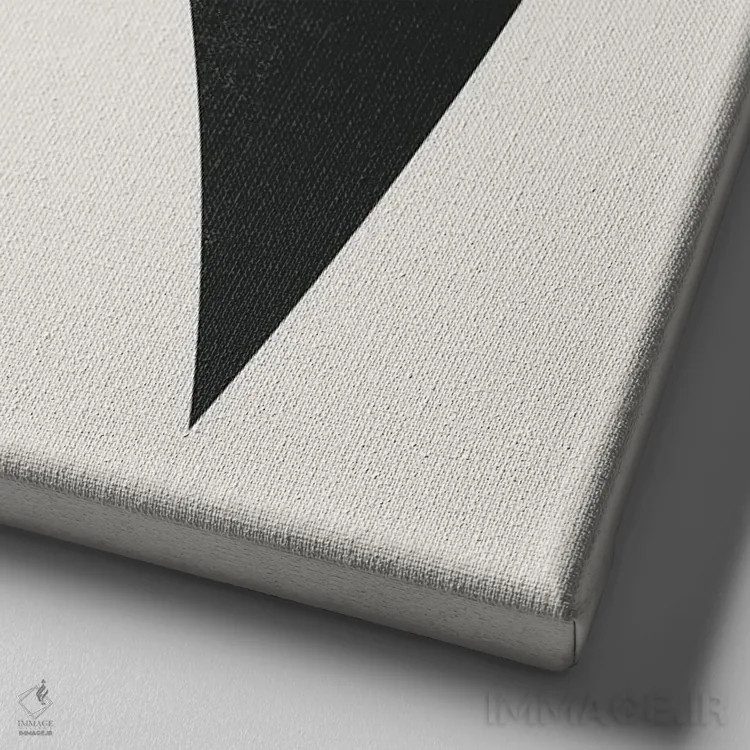 تابلو پرنده مینیمال هشت اثر دانیلو د آلکساندریا - نمای نزدیک بافت بوم