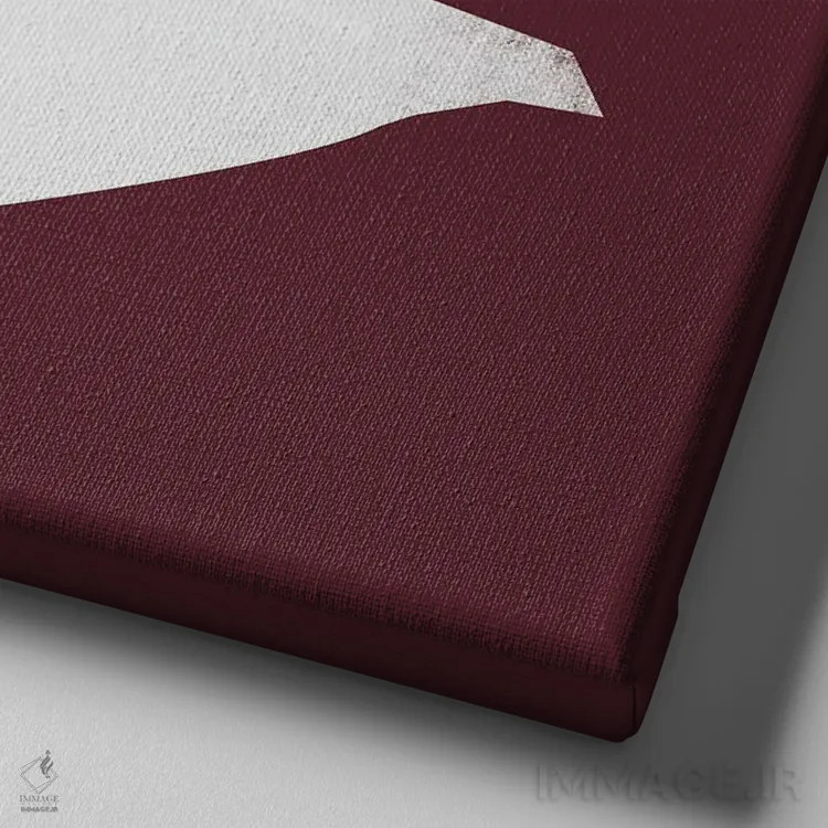 تابلو پرنده مینیمال چهار اثر دانیلو د آلکساندریا - نمای نزدیک بافت بوم