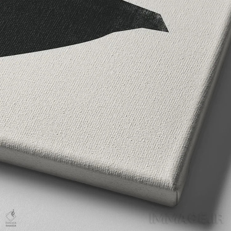 تابلو پرنده مینیمال هفت اثر دانیلو د آلکساندریا - نمای نزدیک بافت بوم