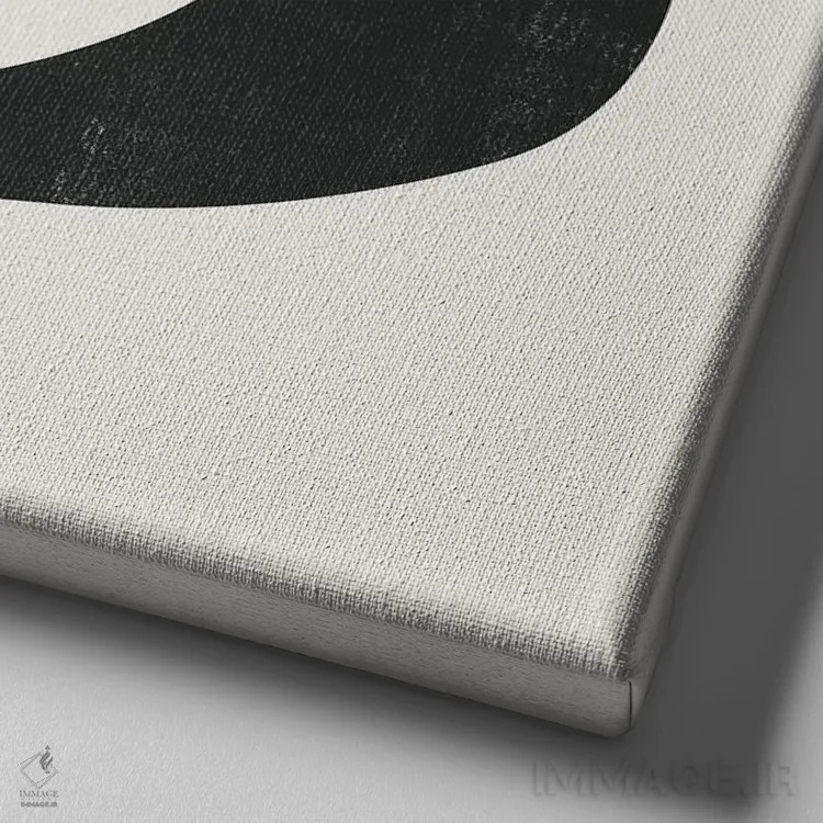 تابلو پرنده مینیمال پنج اثر دانیلو د آلکساندریا - نمای نزدیک بافت بوم