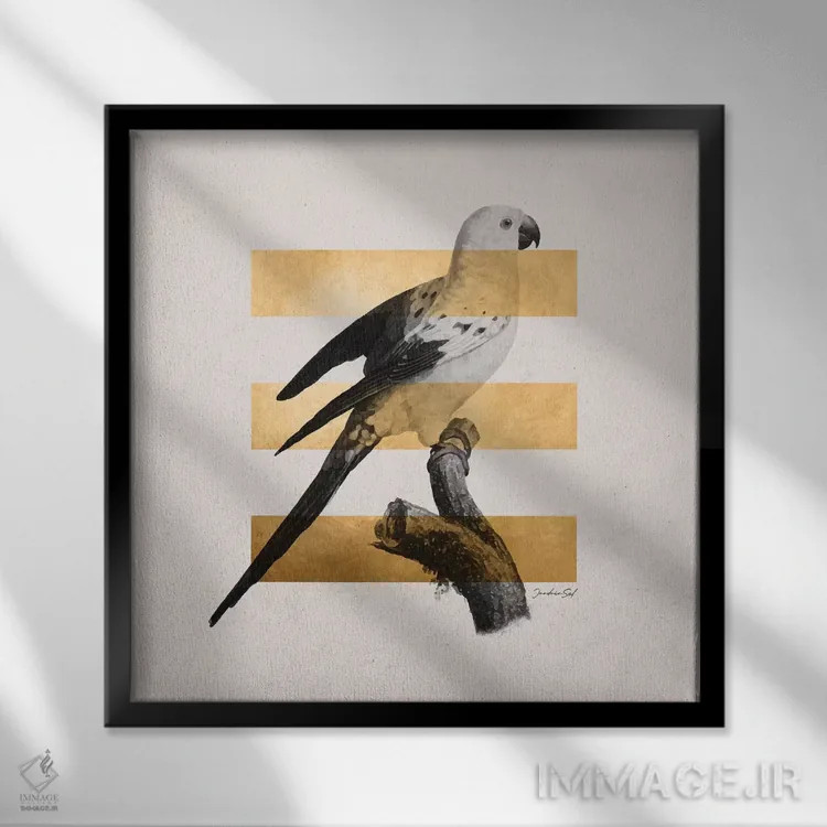 تابلو استوایی طلایی دو اثر دانیلو د آلکساندریا - نمای قابدار مشکی