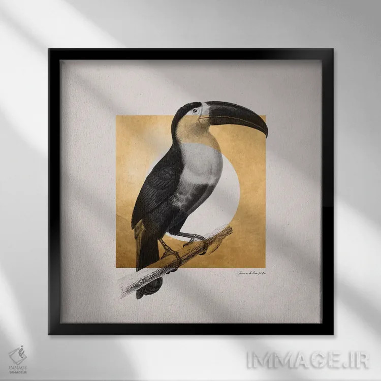 تابلو استوایی طلایی سه اثر دانیلو د آلکساندریا - نمای قابدار مشکی