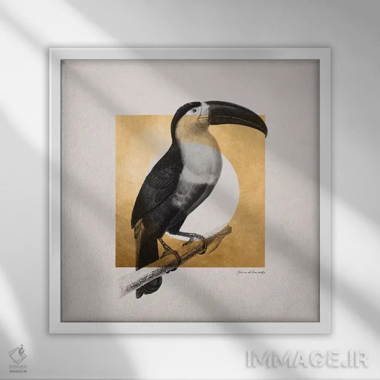 تابلو استوایی طلایی سه اثر دانیلو د آلکساندریا - نمای قابدار سفید