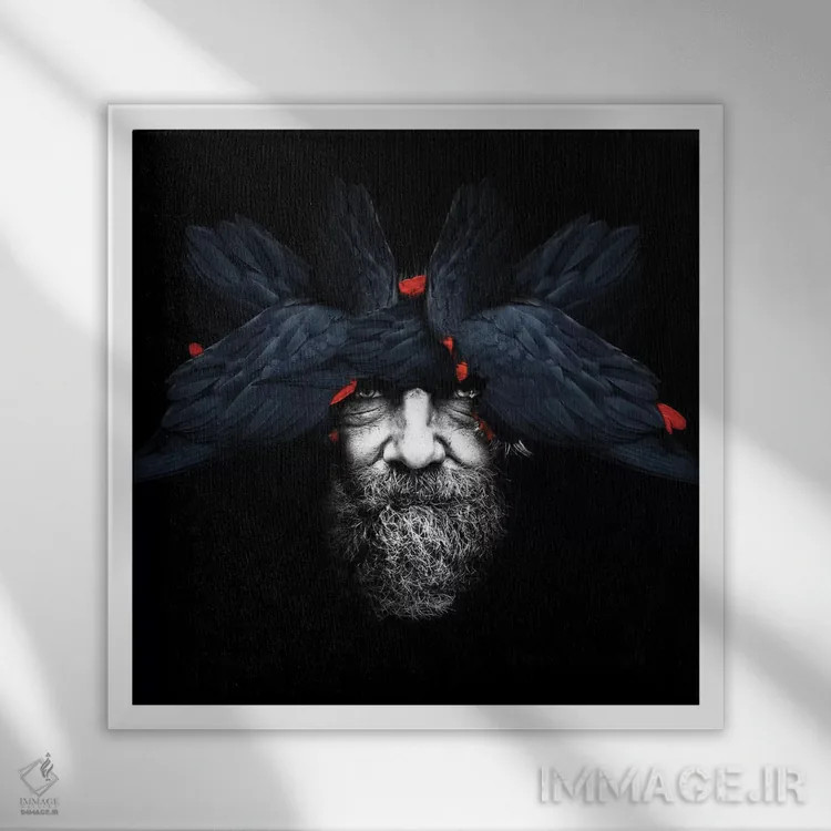 تابلو انسان-پرنده | مربع اثر دانیلو د آلکساندریا - نمای قابدار سفید