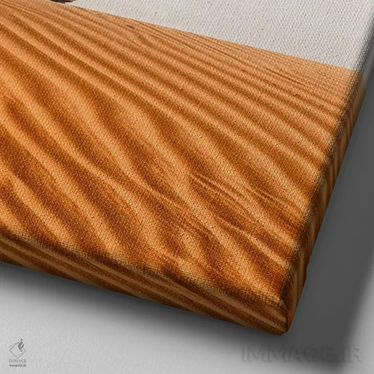 تابلو شن یک اثر دانیلو د آلکساندریا - نمای نزدیک بافت بوم