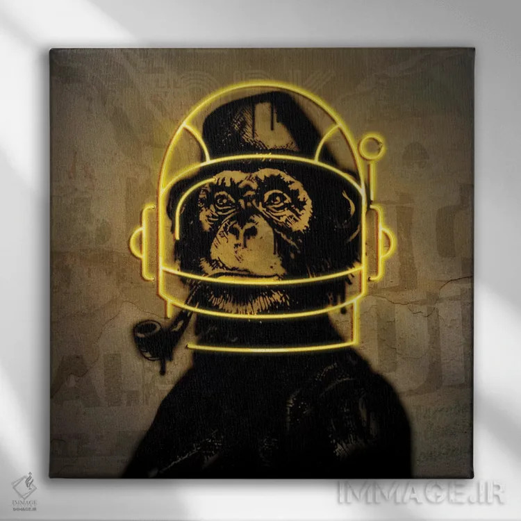تابلو میمون نئونی اثر دانیلو د آلکساندریا - نمای روبهرو روی دیوار
