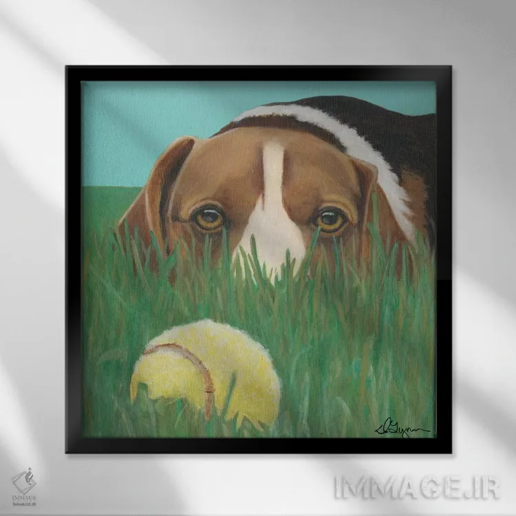 تابلو آفتابی اثر دیلین رول - نمای قابدار مشکی