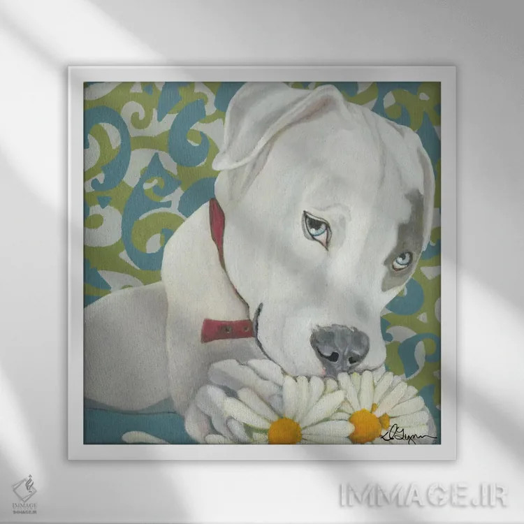 تابلو وصله اثر دیلین رول - نمای قابدار سفید