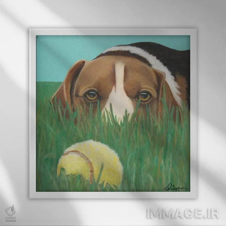 تابلو آفتابی اثر دیلین رول - نمای قابدار سفید