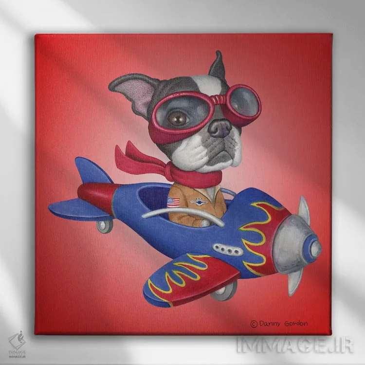 تابلو هواپیمای تریر بوستون اثر دنی گوردون - نمای روبهرو روی دیوار