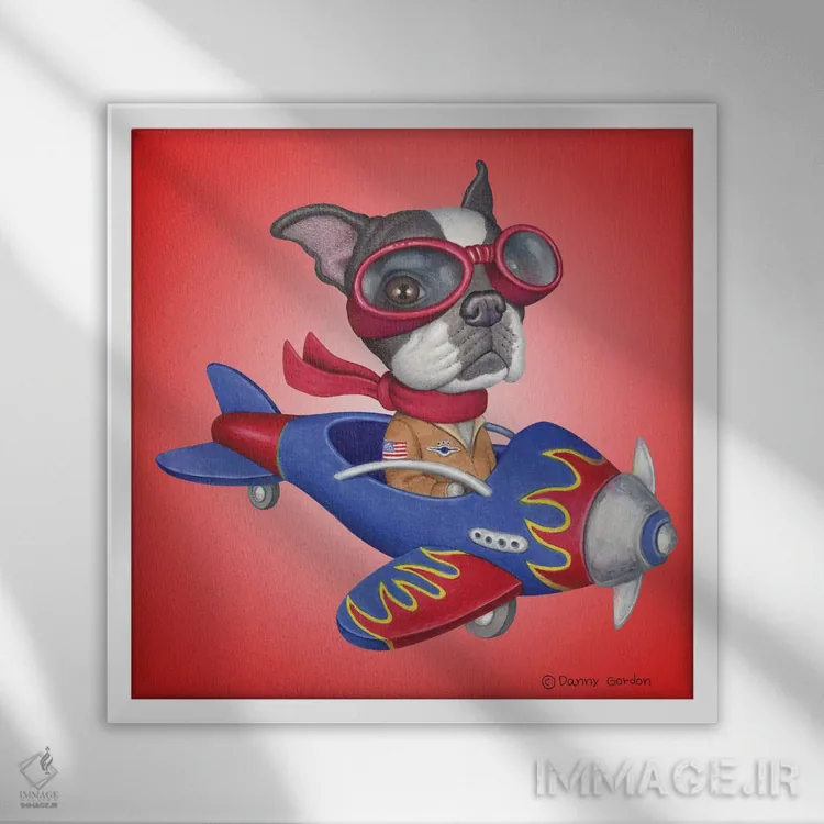تابلو هواپیمای تریر بوستون اثر دنی گوردون - نمای قابدار سفید