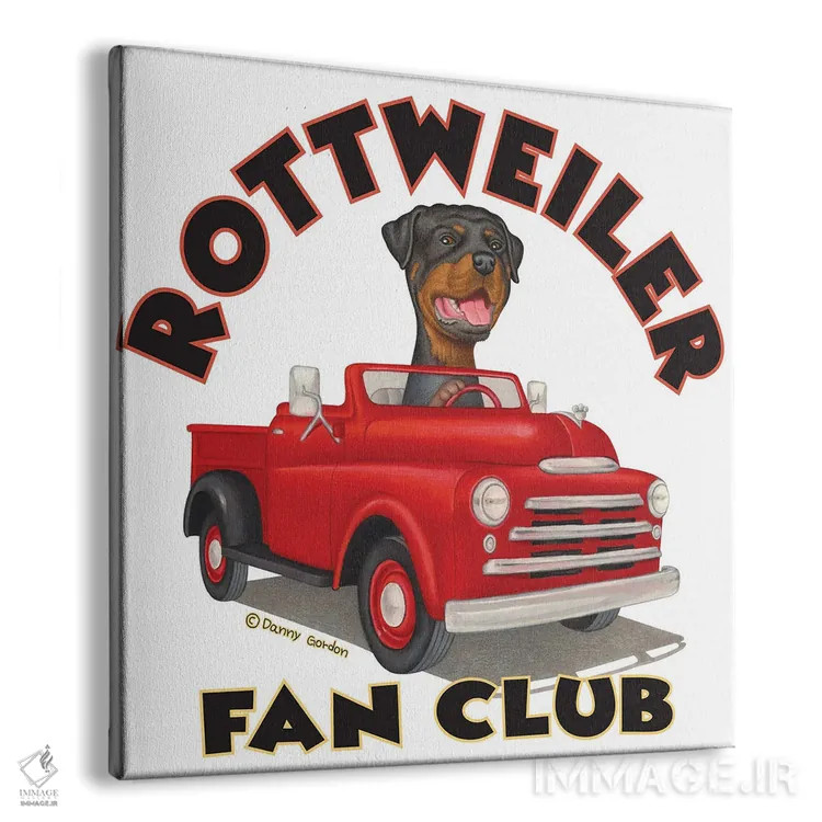 تابلو روتوایلر پشت فرمان کامیون قرمز با نوشته اثر دنی گوردون - نمای پرسپکتیو محصول